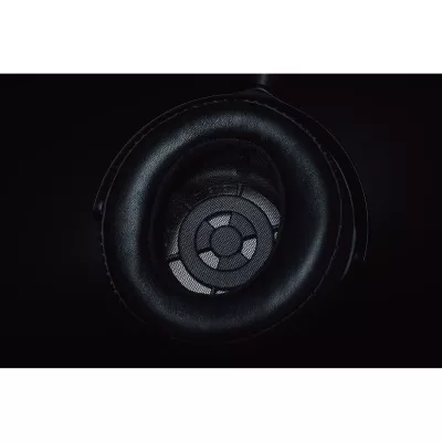 Yamaha YH-5000SE a Ginevra | Digistore.ch